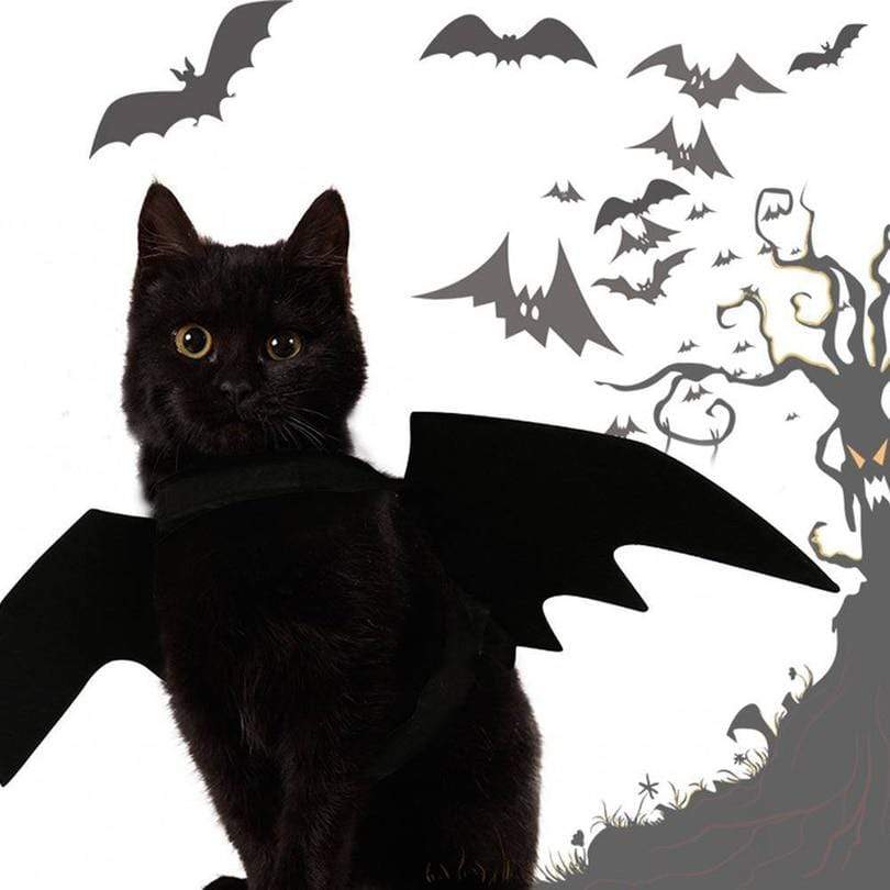 Party DIY Decorations Cute Halloween Cat Costume - DiyosWorld